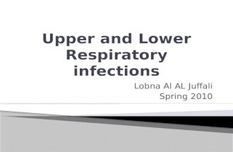 Lobna Al AL Juffali Spring 2010.  Upper respiratory tract ◦ Nose, oropharynx, and larynx  Lower respiratory tract ◦ Lower airways and lungs  Upper.