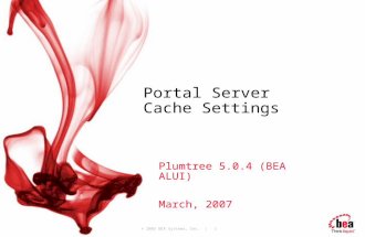 © 2005 BEA Systems, Inc. | 1 Portal Server Cache Settings Plumtree 5.0.4 (BEA ALUI) March, 2007.
