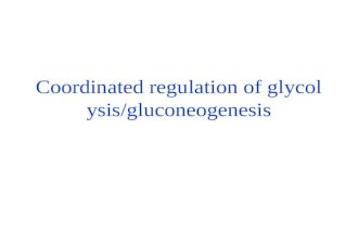 Coordinated regulation of glycolysis/gluconeogenesis.