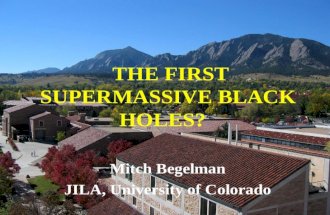 Mitch Begelman JILA, University of Colorado THE FIRST SUPERMASSIVE BLACK HOLES?