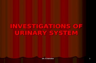 INVESTIGATIONS OF URINARY SYSTEM DR. S Chakradhar 1.