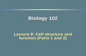Biology 102 Lecture 8: Cell structure and function (Parts 1 and 2)
