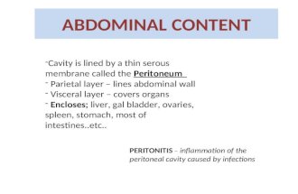 ABDOMINAL CONTENT -Cavity is lined by a thin serous membrane called the Peritoneum - Parietal layer – lines abdominal wall - Visceral layer – covers organs.