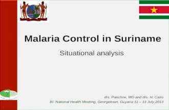 Malaria Control in Suriname drs. Panchoe, MD and drs. H. Cairo Bi- National Health Meeting, Georgetown, Guyana 11 – 13 July 2013 Situational analysis.