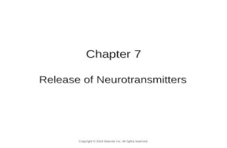 Chapter 7 Release of Neurotransmitters Copyright © 2014 Elsevier Inc. All rights reserved.