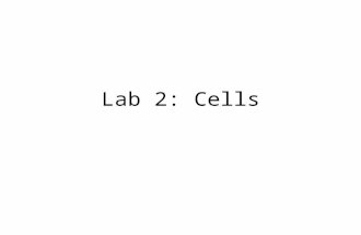 Lab 2: Cells. Which one of the following substances is not a lipid? A) wax B) cholesterol C) cellulose D) steroids E) triglycerides.