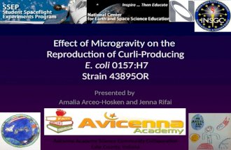 Effect of Microgravity on the Reproduction of Curli-Producing E. coli 0157:H7 Strain 43895OR Presented by Amalia Arceo-Hosken and Jenna Rifai Avicenna.