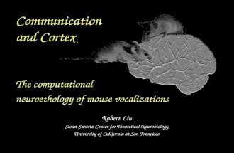 Communication and Cortex The computational neuroethology of mouse vocalizations Robert Liu Sloan-Swartz Center for Theoretical Neurobiology University.