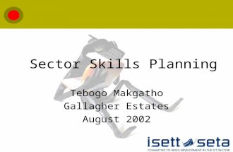 Sector Skills Planning Tebogo Makgatho Gallagher Estates August 2002.
