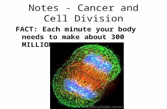 Notes - Cancer and Cell Division FACT: Each minute your body needs to make about 300 MILLION NEW CELLS!