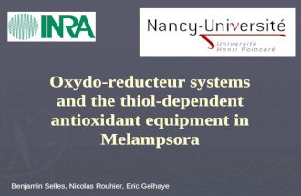 Oxydo-reducteur systems and the thiol-dependent antioxidant equipment in Melampsora Benjamin Selles, Nicolas Rouhier, Eric Gelhaye.