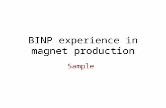 BINP experience in magnet production Sample. Example of MLS Dipole modeling Number of magnets8 Bending angle, deg45 Bending radius, mm1528 Gap, mm50 ±