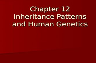 Chapter 12 Inheritance Patterns and Human Genetics.