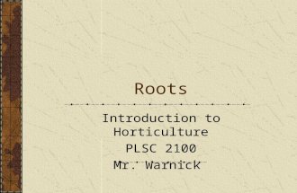 Roots Introduction to Horticulture PLSC 2100 Mr. Warnick.