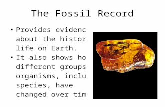 The Fossil Record Provides evidence about the history of life on Earth. It also shows how different groups of organisms, including species, have changed.