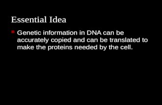 Essential Idea Genetic information in DNA can be accurately copied and can be translated to make the proteins needed by the cell.