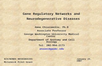 Gene Regulatory Networks and Neurodegenerative Diseases Anne Chiaramello, Ph.D Associate Professor George Washington University Medical Center Department.