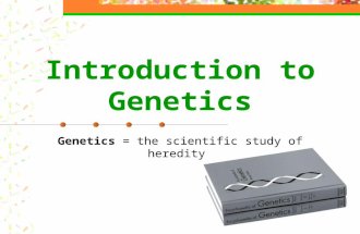 Introduction to Genetics Genetics = the scientific study of heredity.