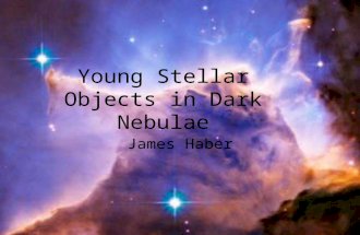 Young Stellar Objects in Dark Nebulae James Haber.