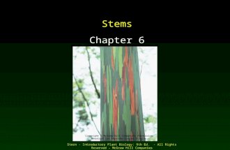 Stern - Introductory Plant Biology: 9th Ed. - All Rights Reserved - McGraw Hill Companies Stems Chapter 6 Copyright © McGraw-Hill Companies Permission.