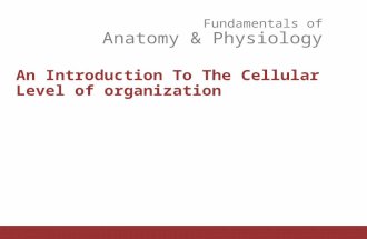 Fundamentals of Anatomy & Physiology An Introduction To The Cellular Level of organization.