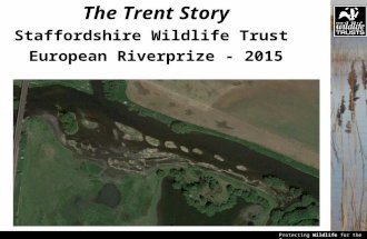 Protecting Wildlife for the Future The Trent Story Staffordshire Wildlife Trust European Riverprize - 2015.