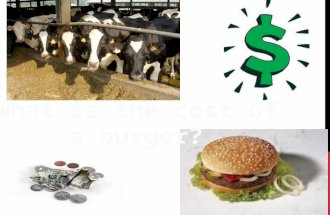In order to calculate the ACTUAL COST of a hamburger we must include all of our ingredients AND the hidden costs……