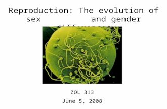 Reproduction: The evolution of sex and gender differences ZOL 313 June 5, 2008.