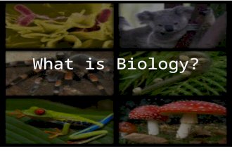 What is Biology?. Biology- natural science concerned with the study of life and living organisms – Fundamental concepts of modern biology 1. Cells are.