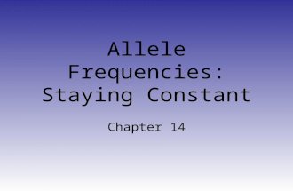 Allele Frequencies: Staying Constant Chapter 14. What is Allele Frequency? How frequent any allele is in a given population: –Within one race –Within.