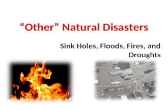 “Other” Natural Disasters Sink Holes, Floods, Fires, and Droughts.