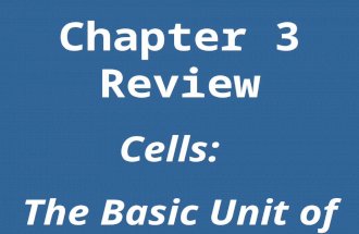 Chapter 3 Review Cells: The Basic Unit of Life. Instructions 1.Completely clear off your table. 2.ONE person per team – pick up from the front table: