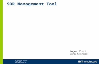 BT Wholesale Products June, 2008  SOR Management Tool Angus Flett John Skingle.
