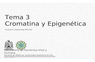1 CA García Sepúlveda MD PhD Tema 3 Cromatina y Epigenética Laboratorio de Genómica Viral y Humana Facultad de Medicina, Universidad Autónoma de San Luis.