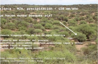 Telteca – MZA, precipitacion < 150 mm/año Que hacen estos bosques aca? …evidencia biogeografica de uso de agua freatica 1.evidencia mas directas del proceso.