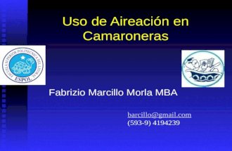 Uso de Aireación en Camaroneras Fabrizio Marcillo Morla MBA barcillo@gmail.com (593-9) 4194239.