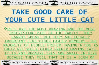Take Good Care Of Your Cute Little Cat
