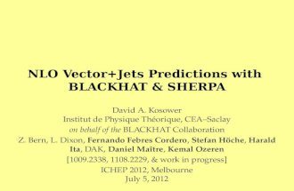 NLO  Vector+Jets  Predictions  with  B lack H at &  SHERPA