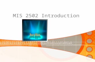 MIS 2502 Introduction