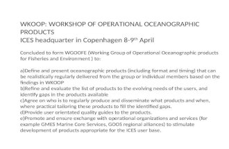 WKOOP: Workshop of Operational Oceanographic Products