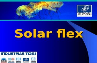 Solar flex