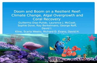 Doom and Boom on a Resilient Reef: Climate Change, Algal Overgrowth and Coral Recovery