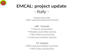 EMCAL: project update - Italy -