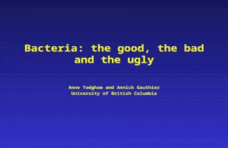 Bacteria: the good, the bad and the ugly