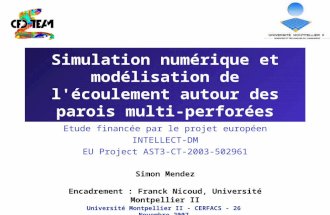 Simulation numérique et modélisation de l'écoulement autour des parois multi-perforées