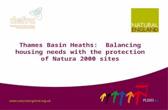 Thames Basin Heaths:  Balancing housing needs with the protection of Natura 2000 sites