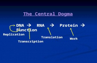 DNA     RNA      Protein    Function