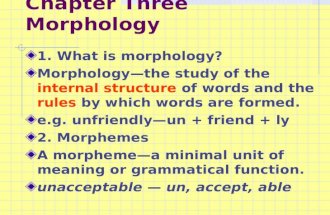 Chapter Three Morphology