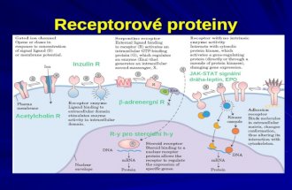 Receptorové proteiny