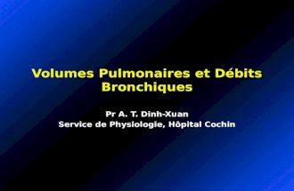 Volumes Pulmonaires et Débits Bronchiques